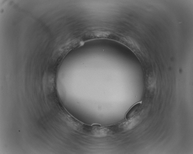 X0000066010321200603061304