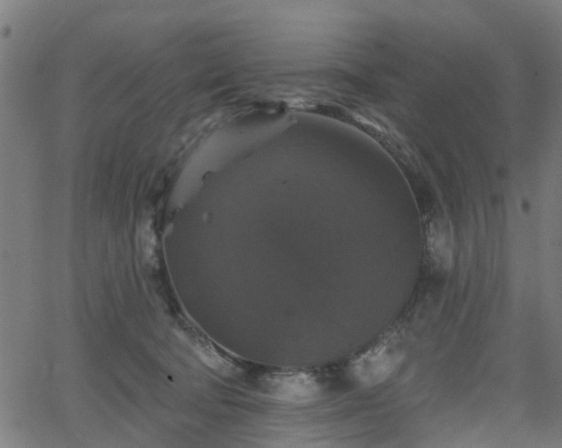 X0000066010322200603061304