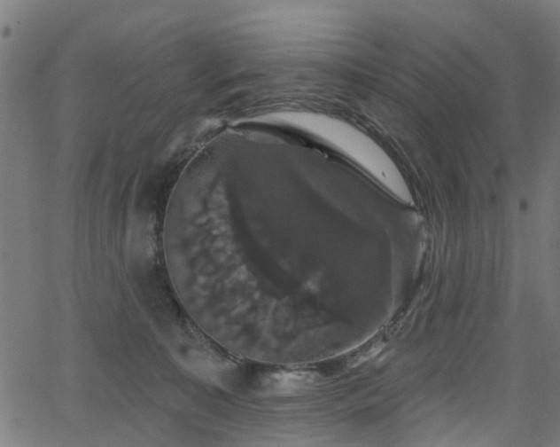 X0000066010323200603061304