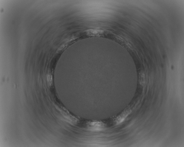 X0000066010324200603061304