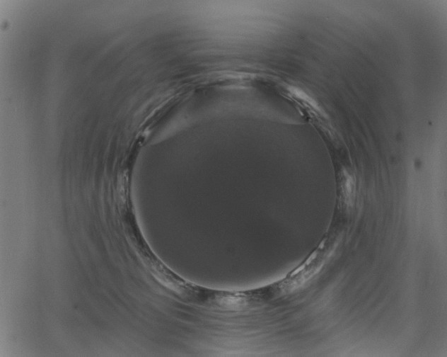 X0000066010325200603061304