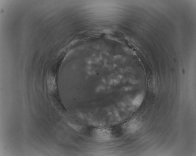 X0000066010327200603061304