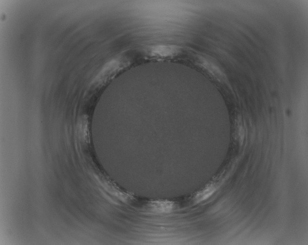 X0000066010328200603061304