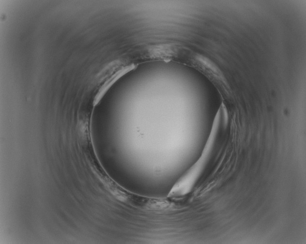 X0000066010329200603061304