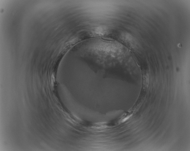 X0000066010331200603061304