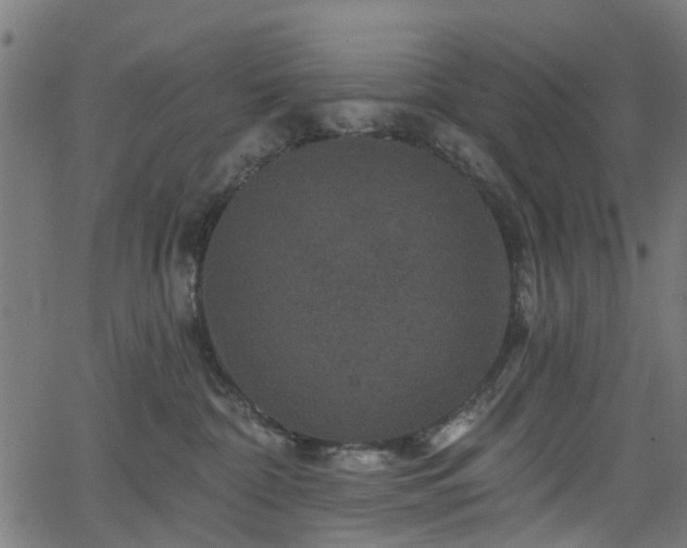 X0000066010332200603061304