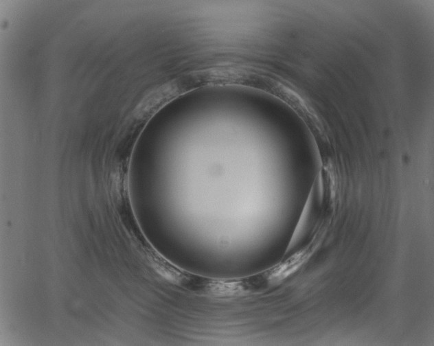 X0000066010333200603061304