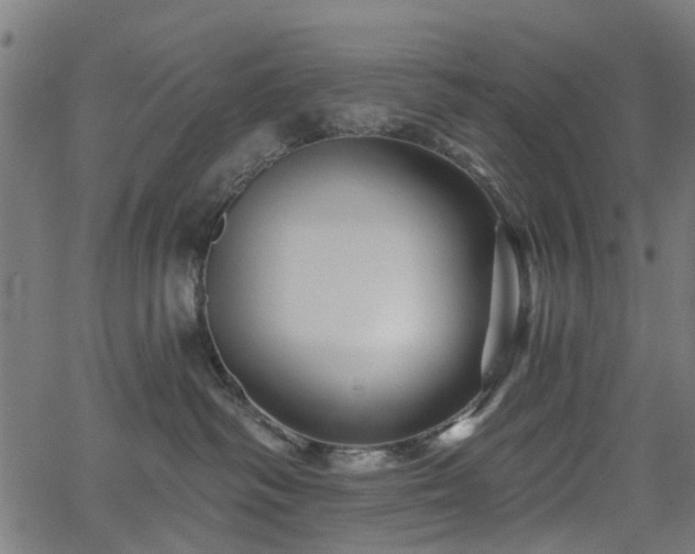 X0000066010334200603061304