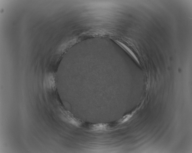 X0000066010335200603061304