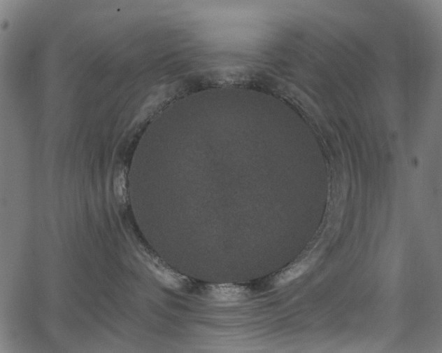 X0000066010336200603061304