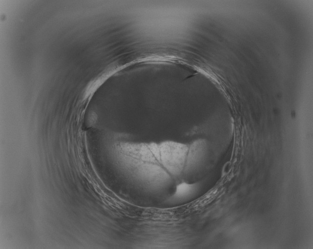 X0000066010337200603061303