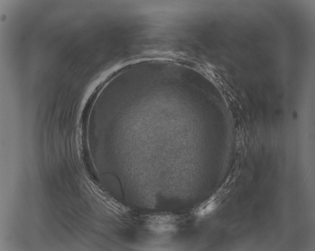 X0000066010342200603061303