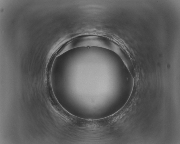 X0000066010344200603061303