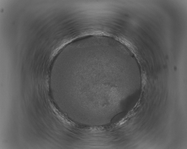 X0000066010345200603061303