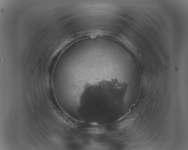 X0000066010347200603061303