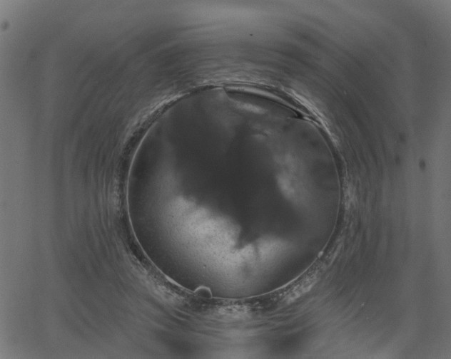 X0000066010353200603061303