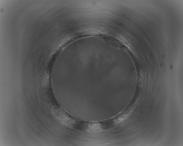 X0000066010355200603061303