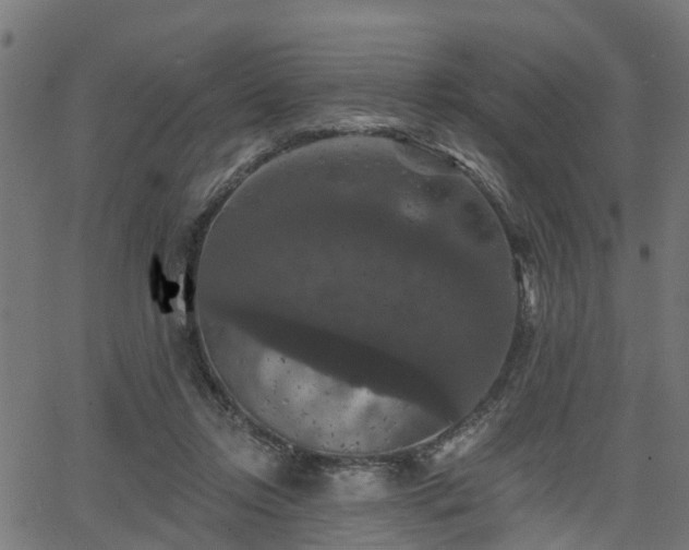 X0000066010358200603061303