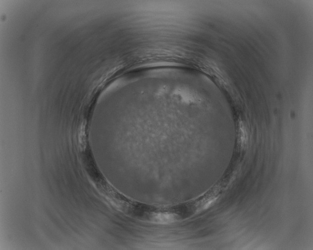 X0000066010360200603061303