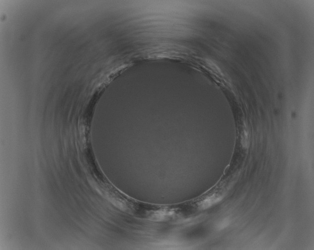 X0000066010366200603061303