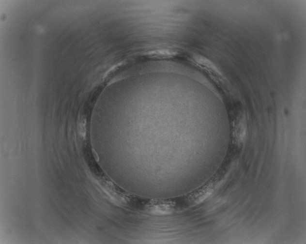 X0000066010368200603061303