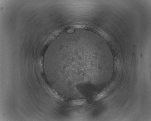 X0000066010373200603061303