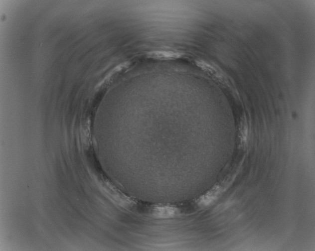 X0000066010376200603061303