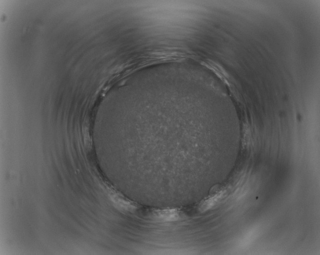 X0000066010377200603061303