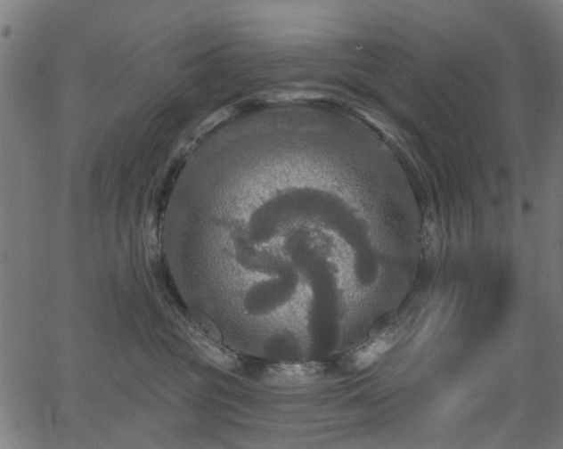 X0000066010381200603061303