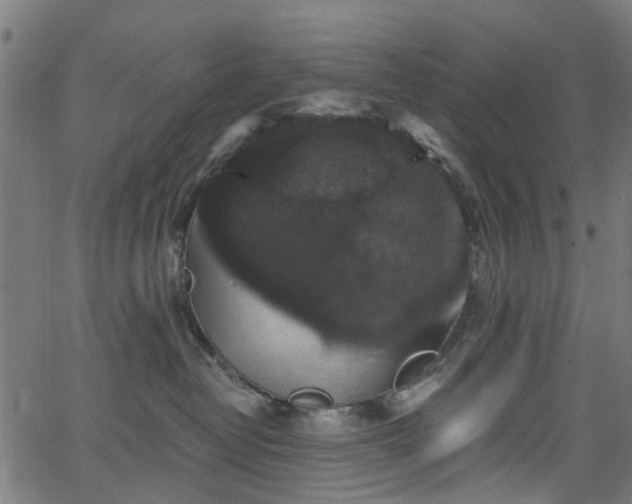 X0000066010382200603061303