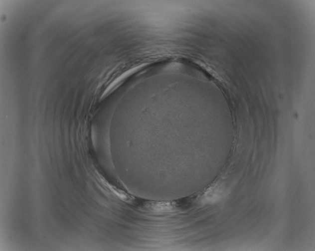 X0000066010384200603061304