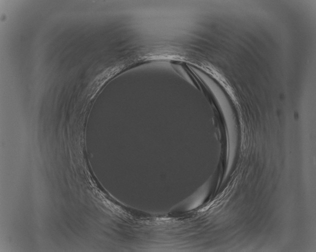 X0000066010385200603061303