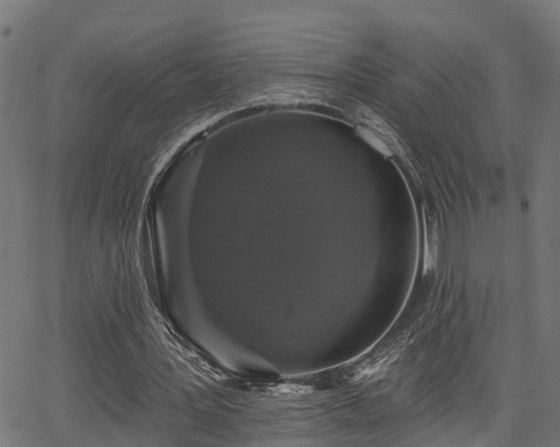 X0000066010387200603061303