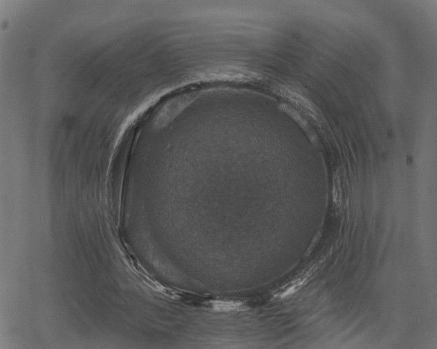 X0000066010388200603061303