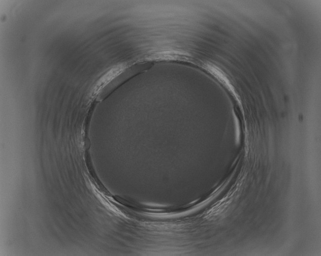 X0000066010389200603061303