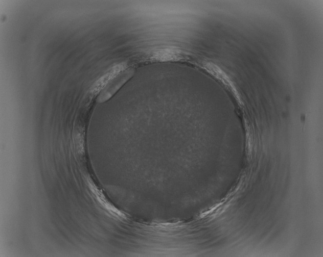 X0000066010393200603061303