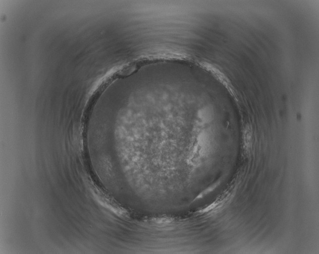 X0000066010395200603061303