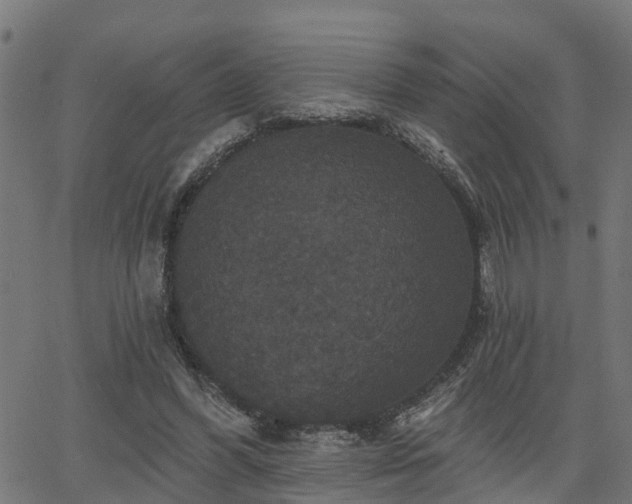 X0000066010396200603061303