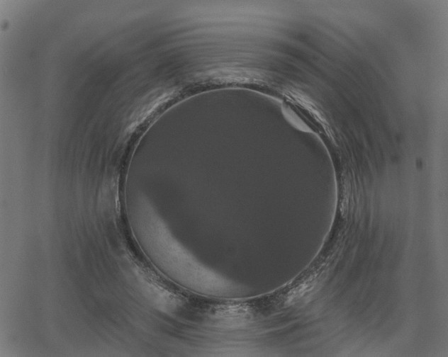 X0000066010398200603061303