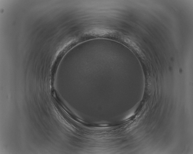 X0000066010399200603061302