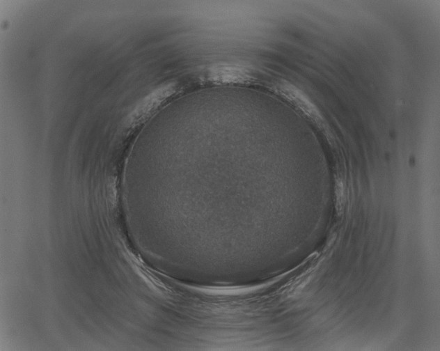 X0000066010401200603061302