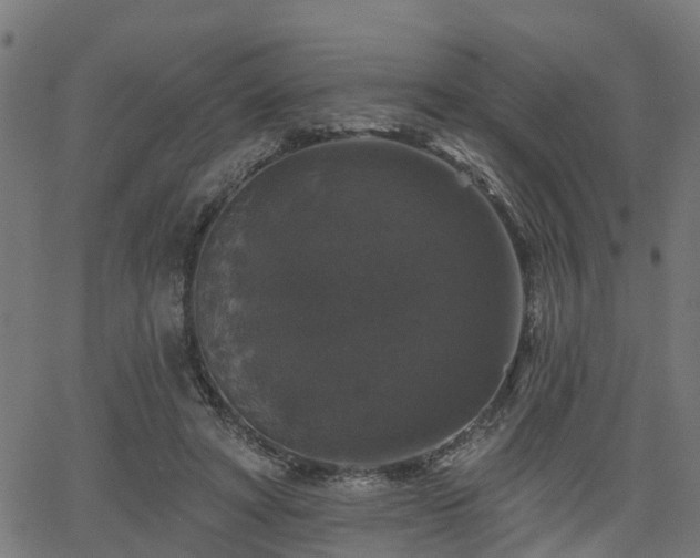 X0000066010402200603061302