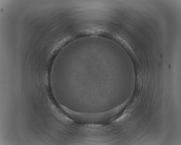 X0000066010403200603061302