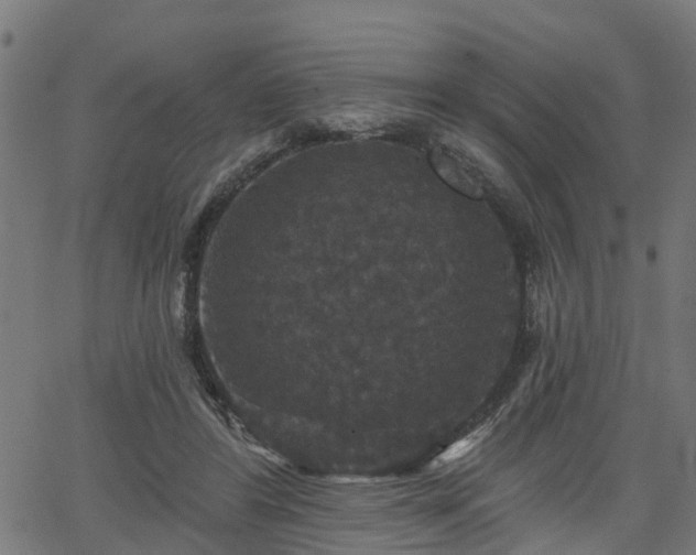 X0000066010404200603061302