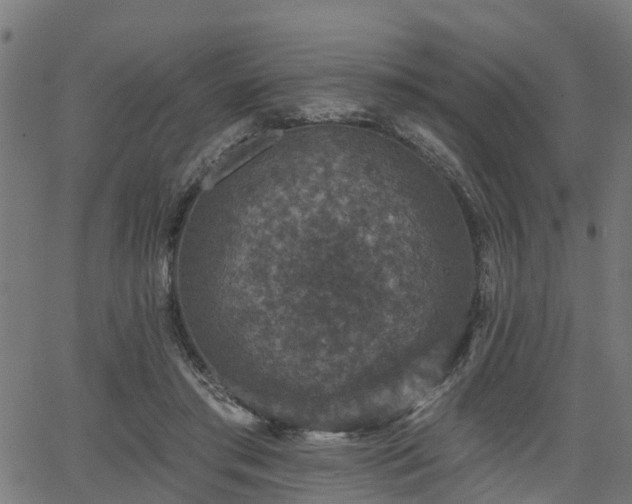 X0000066010405200603061302