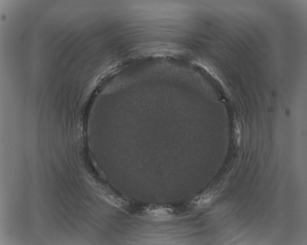 X0000066010407200603061302