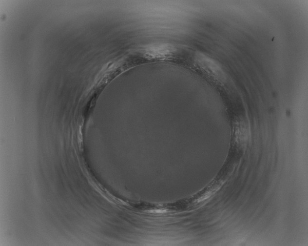 X0000066010408200603061302