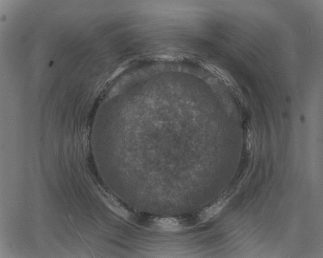 X0000066010409200603061302