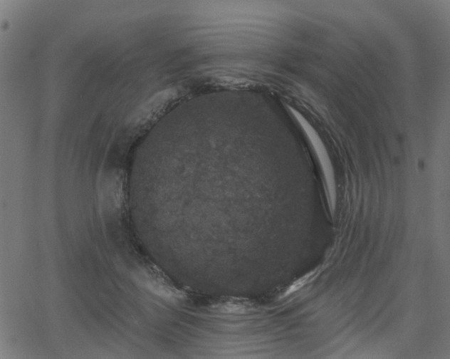 X0000066010412200603061302