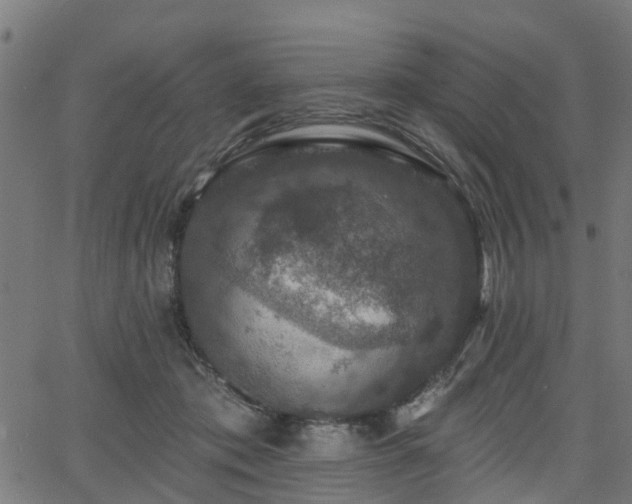 X0000066010413200603061302